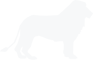 demo-attachment-162-Path-15